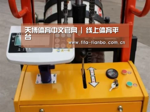 天博赛事案例展示三