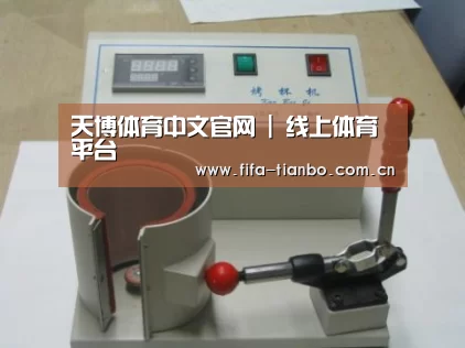 天博赛事案例展示六