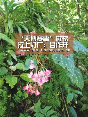 ‘天博赛事’微软拉上灯厂:合作开发Xbox“物理外挂”(图1) 天博体育