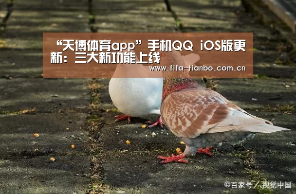 “天博体育app”手机QQ iOS版更新:三大新功能上线(图1) 天博体育app