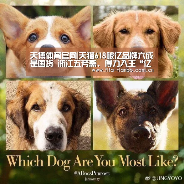 天博赛事
