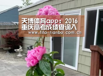 天博体育官网