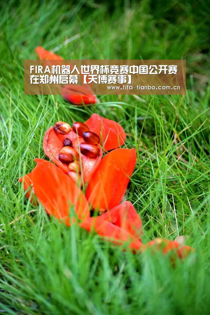 FIRA机器人世界杯竞赛中国公开赛在郑州启幕【天博赛事】(图2) 天博赛事