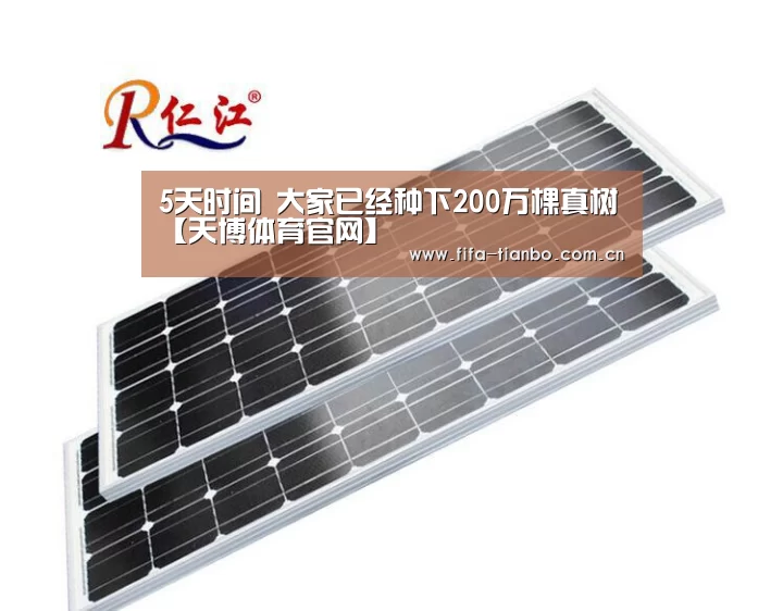 5天时间 大家已经种下200万棵真树【天博体育官网】(图1) 天博体育
