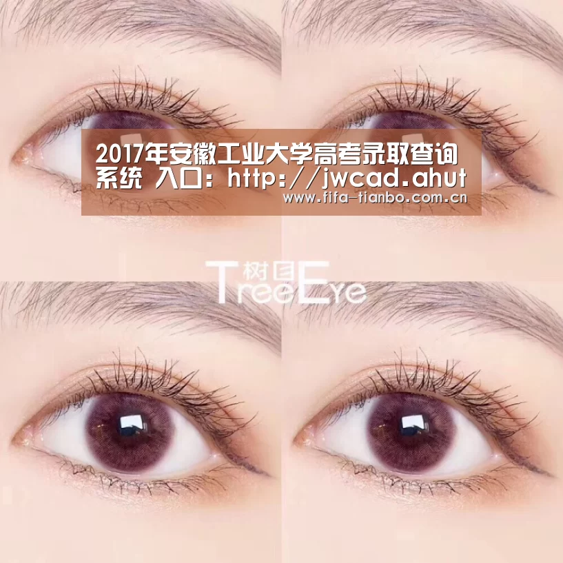天博赛事