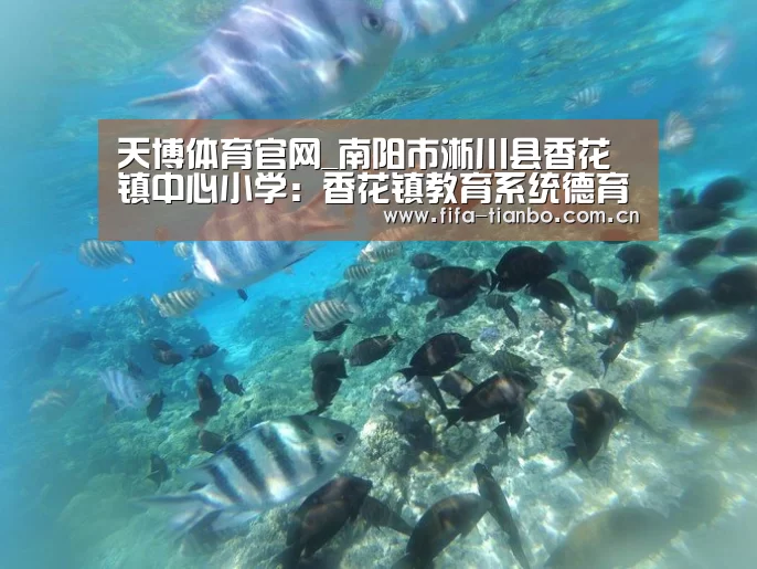 天博体育