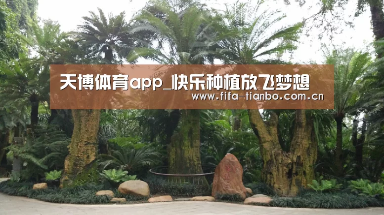 天博体育官网